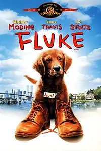 Постер к фильму «Флюк (1995)»