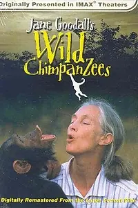 Главный постер фильма «Jane Goodall's Wild Chimpanzees (2002)»