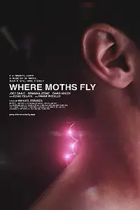 Постер к фильму «Where Moths Fly (2012)»