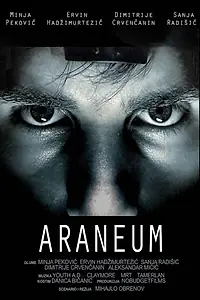 Постер к фильму «Паутина (2010)»