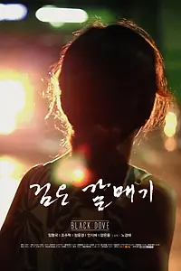 Постер к фильму «Чёрный голубь (2011)»
