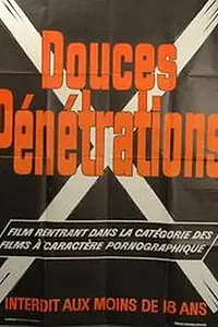 Постер к фильму «Приятное проникновение (1976)»