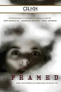 Постер к фильму «Framed (2004)»