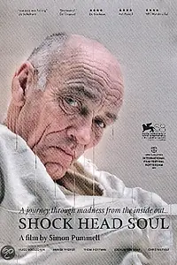 Постер к фильму «Душа потрясённого ума (2011)»