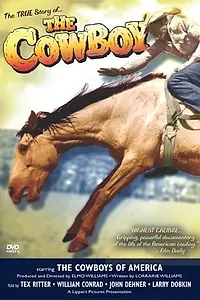 Постер к фильму «The Cowboy (1954)»