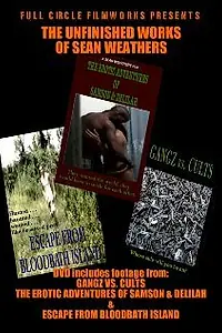 Главный постер фильма «The Unfinished Works of Sean Weathers (2004)»