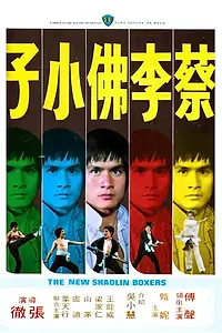Главный постер фильма «Новые боксеры из Шаолиня (1976)»