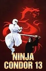 Главный постер фильма «Ниндзя-стервятник (1987)»