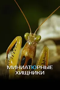 Главный постер фильма «Миниатюрные хищники (2019)»