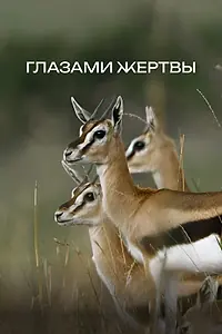Главный постер фильма «Глазами жертвы (2019)»