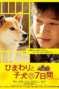 Постер к фильму «Семь дней Химавари и ее щенков (2012)»