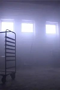 Постер к фильму «Померанье (2008)»