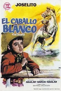 Постер к фильму «Белая лошадь (1962)»