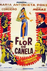 Постер к фильму «Flor de canela (1959)»
