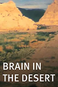 Постер к фильму «Brain in the Desert (1990)»