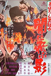 Главный постер фильма «Черный ниндзя (1967)»