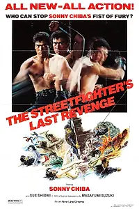 Постер к фильму «Последняя месть уличного бойца (1974)»