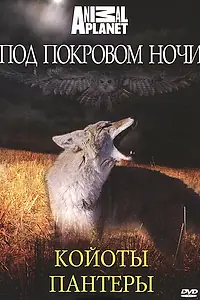 Главный постер сериала «Под покровом ночи (2009)»