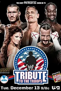 Постер к фильму «WWE Дань войск (2011)»
