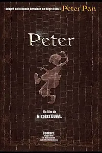 Постер к фильму «Питер (2012)»