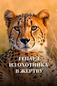 Главный постер фильма «Гепард. Из охотника в жертву (2016)»