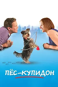 Постер к фильму «Пес-купидон (2012)»