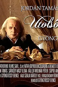 Постер к фильму «Последняя рапсодия (2011)»
