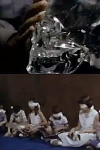 Главный постер фильма «The Psychic Connection (1983)»