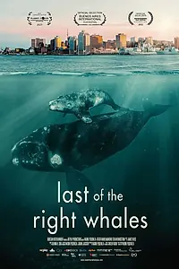 Постер к фильму «Last of the Right Whales (2021)»