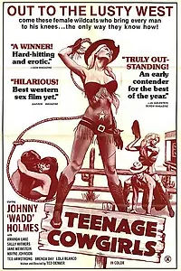 Главный постер фильма «Teenage Cowgirls (1973)»