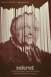 Постер к фильму «Секрет (1973)»