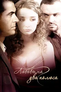 Главный постер фильма «Любовь на два полюса (2011)»