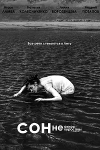 Постер к фильму «Сон Неакиры Некуросавы (2010)»