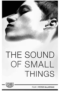 Постер к фильму «The Sound of Small Things (2012)»