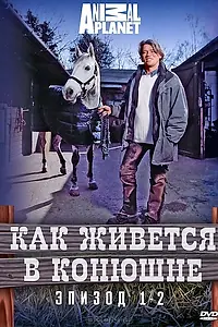 Главный постер сериала «Как живется в конюшне (2006)»
