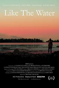 Постер к фильму «Как вода (2012)»