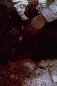 Постер к фильму «Pan 697 (1974)»