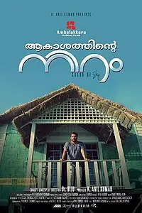 Постер к фильму «Цвет неба (2012)»