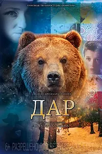 Постер к фильму «Дар (2013)»