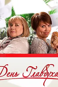 Постер к фильму «День главбуха (2011)»