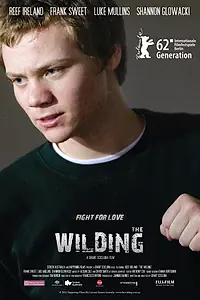 Постер к фильму «Дикий (2012)»