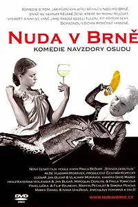 Постер к фильму «Скука в Брно (2003)»