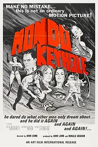 Главный постер фильма «Мир замочных скважин (1966)»