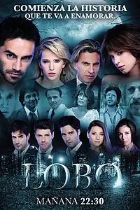 Постер к сериалу «Волк (2012)»
