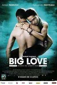 Главный постер фильма «Большая любовь (2012)»