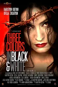 Постер к фильму «Three Colors (2009)»