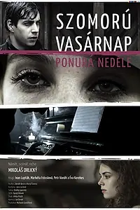 Постер к фильму «Gloomy Sunday (2011)»
