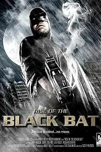 Главный постер фильма «Rise of the Black Bat (2012)»