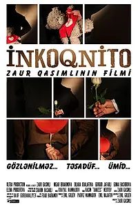 Постер к фильму «Инкогнито (2012)»