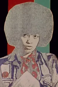 Главный постер мультфильма «Hair Piece: A Film for Nappyheaded People (1984)»